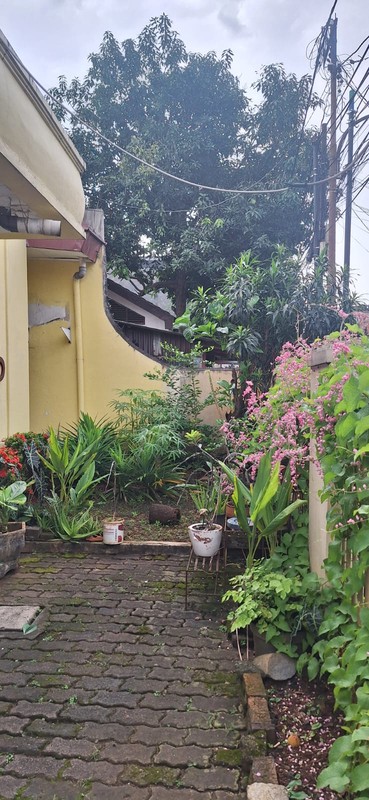 Rumah Hunian Hitung Tanah Di Pasar Minggu