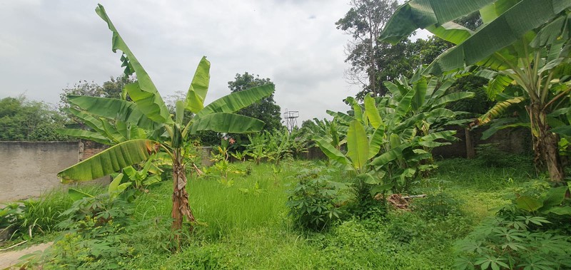 Rumah Tanah Luas 817 m2 Jarang Ada di Kasturi Bintaro