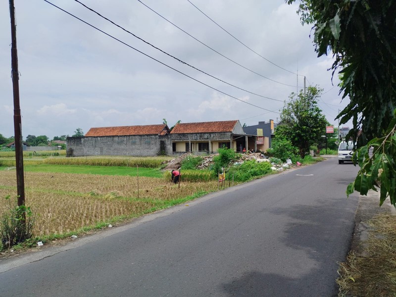 Dijual Tanah Sawah Cocok Untuk Pertanian Lokasi Tirtonirmolo ,Kasihan Bantul 