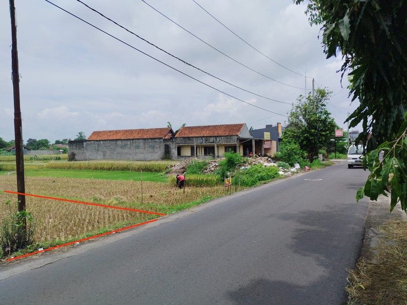 Dijual Tanah Sawah Cocok Untuk Pertanian Lokasi Tirtonirmolo ,Kasihan Bantul 
