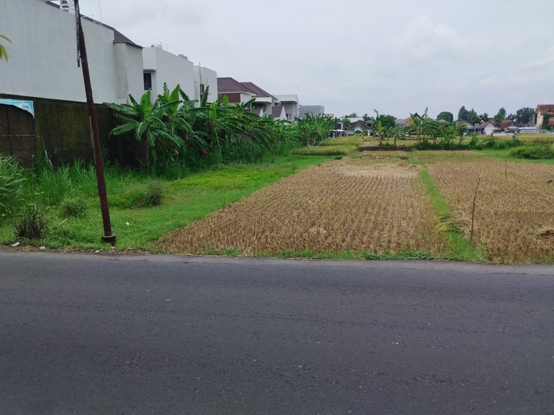 Dijual Tanah Sawah Cocok Untuk Pertanian Lokasi Tirtonirmolo ,Kasihan Bantul 