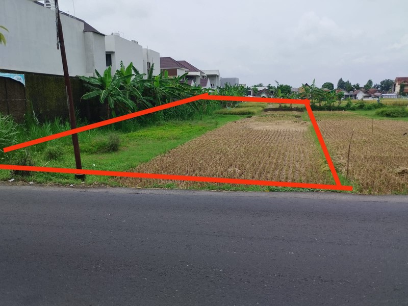 Dijual Tanah Sawah Cocok Untuk Pertanian Lokasi Tirtonirmolo ,Kasihan Bantul 