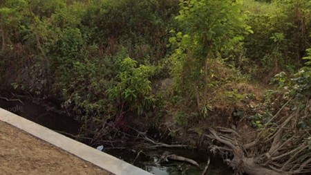 Tanah Sawah Luas 1466 Meter Persegi Lokasi Strategis di Desa Boto - Klaten