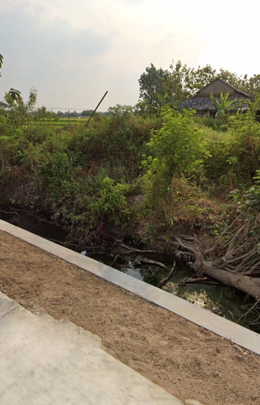 Tanah Sawah Luas 1466 Meter Persegi Lokasi Strategis di Desa Boto - Klaten