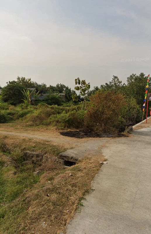 Tanah Sawah Luas 1466 Meter Persegi Lokasi Strategis di Desa Boto - Klaten