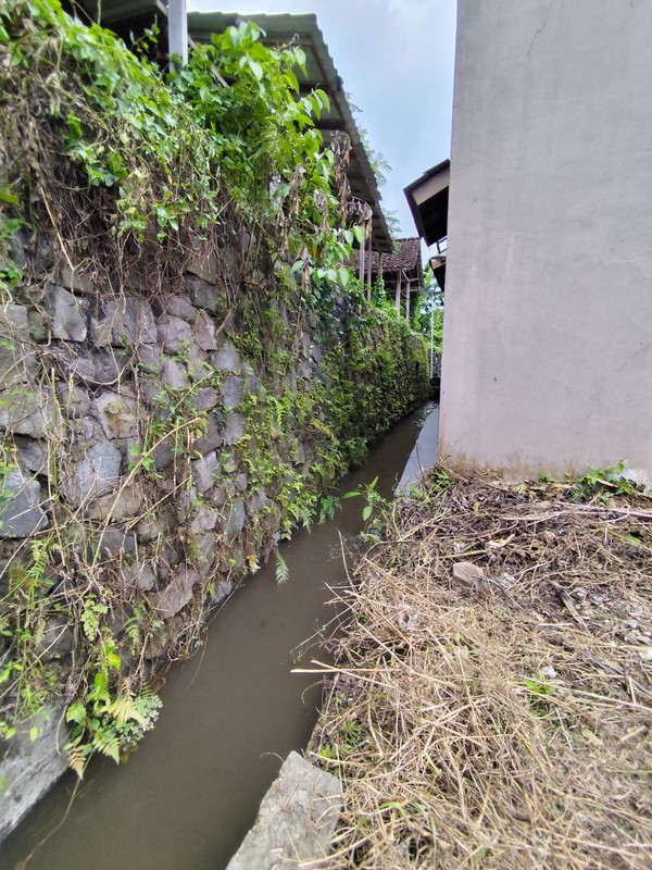 Tanah Pekarangan Strategis di Pandowoharjo Investasi Masa Depan Dekat Sleman City Hall, Pandowoharjo, Sleman