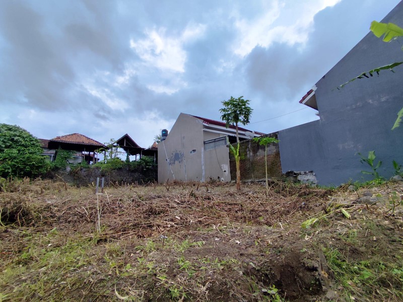 Tanah Pekarangan Strategis di Pandowoharjo Investasi Masa Depan Dekat Sleman City Hall, Pandowoharjo, Sleman
