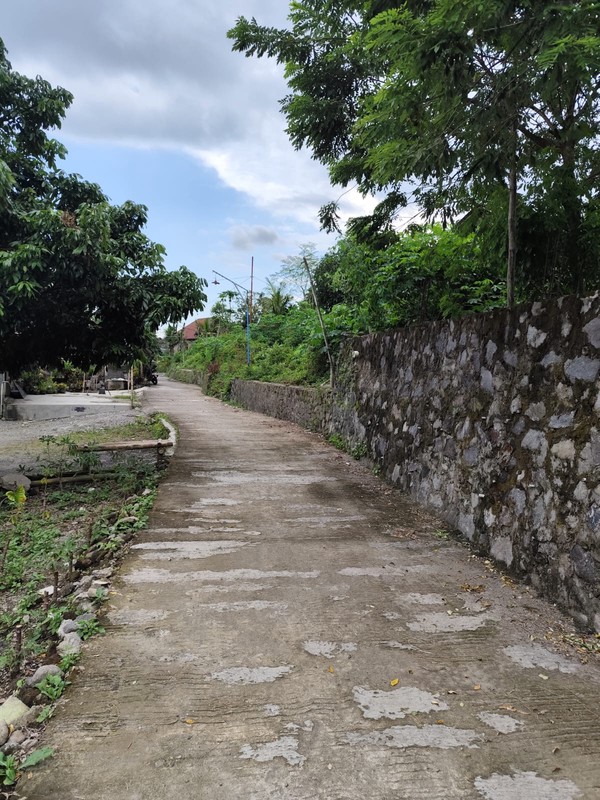 Tanah Pekarangan Strategis di Pandowoharjo Investasi Masa Depan Dekat Sleman City Hall, Pandowoharjo, Sleman