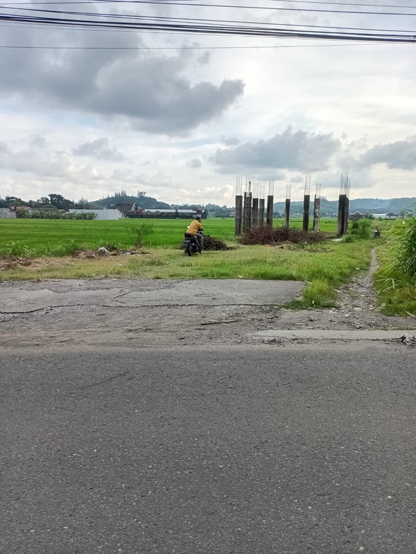 Peluang Investasi Tanah Luas 1.255 Meter Persegi di Bangunjiwo Area Berkembang & Row Jalan Lebar, Bangunjiwo, Kasihan, Bantul