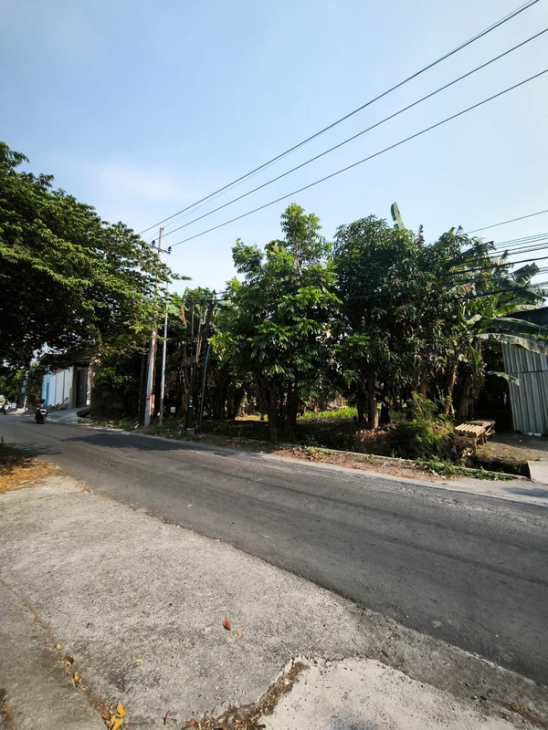 DIJUAL MURAH TANAH PINGGIR JALAN RAYA NGEMPLAK 20x30 SAMPING CITRALAND UTAMA SURABAYA