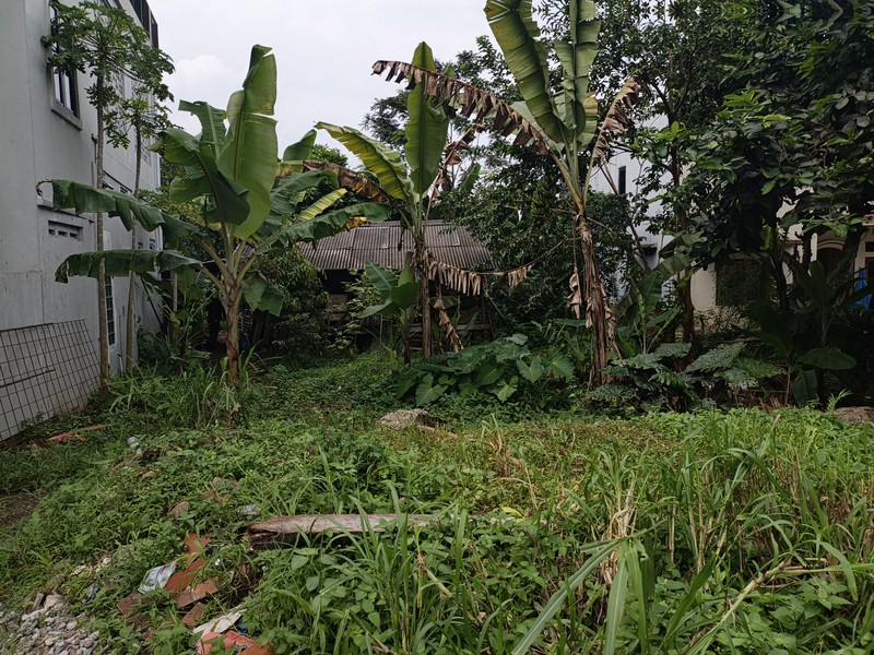 Tanah 1500 M2 di lokasi sangat Strategis belakang IPB dramaga Cocok buat Kos dan tempat usaha