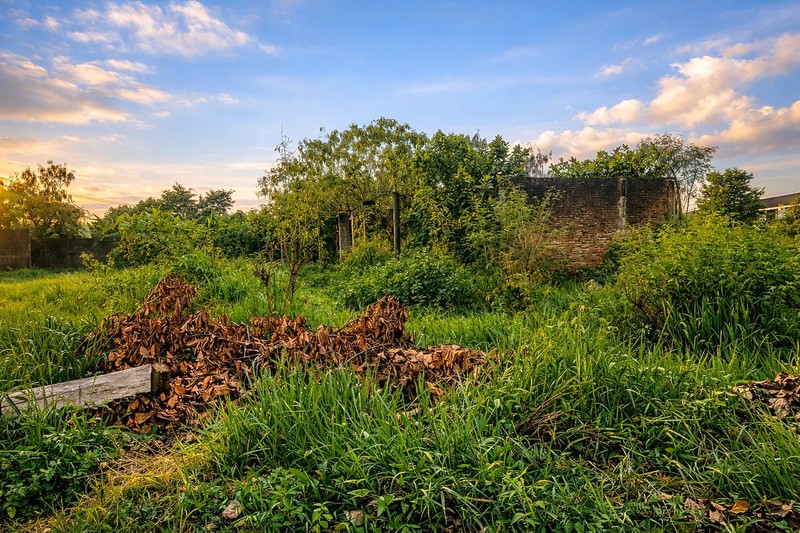 Lahan Luas 3544 Meter Persegi di Sardonoharjo, Sleman Akses Jalan 3 Meter, Lokasi Asri & Berkembang