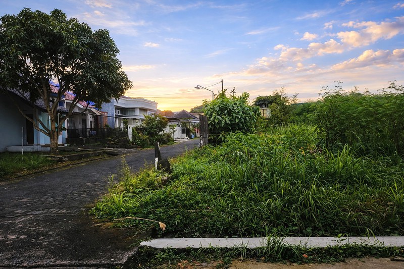 Lahan Luas 3544 Meter Persegi di Sardonoharjo, Sleman Akses Jalan 3 Meter, Lokasi Asri & Berkembang