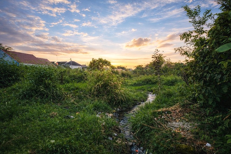 Lahan Luas 3544 Meter Persegi di Sardonoharjo, Sleman Akses Jalan 3 Meter, Lokasi Asri & Berkembang