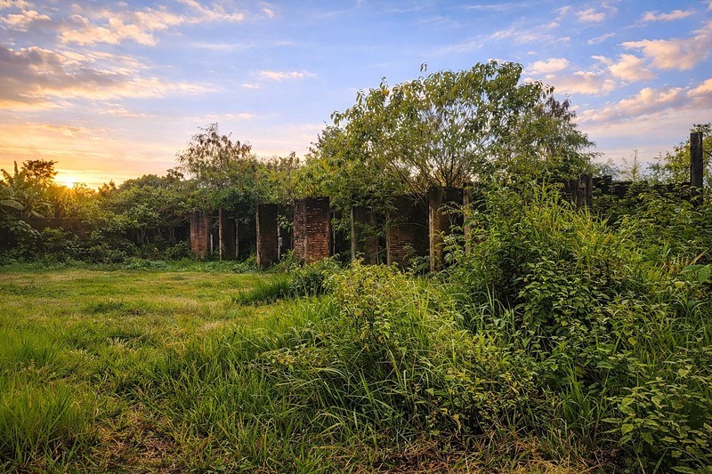 Lahan Luas 3544 Meter Persegi di Sardonoharjo, Sleman Akses Jalan 3 Meter, Lokasi Asri & Berkembang