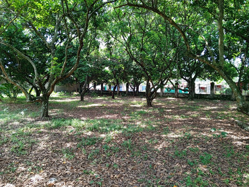 DIJUAL TANAH KOSONG TEPI JALAN RAYA  JONGGOL  SANGAT STRATEGIS