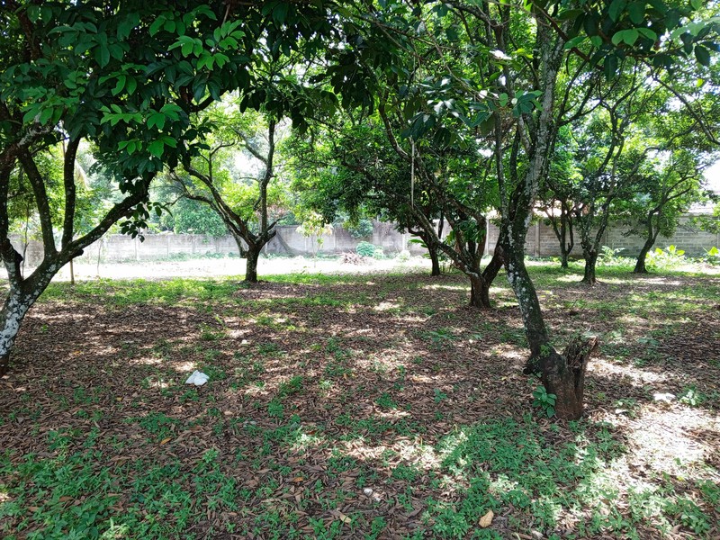 DIJUAL TANAH KOSONG TEPI JALAN RAYA  JONGGOL  SANGAT STRATEGIS