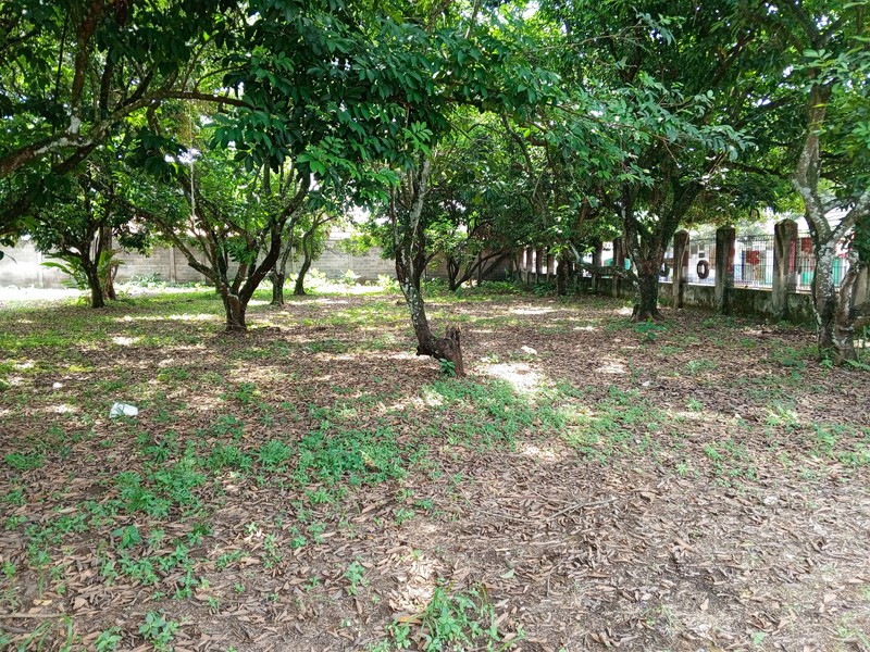 DIJUAL TANAH KOSONG TEPI JALAN RAYA  JONGGOL  SANGAT STRATEGIS