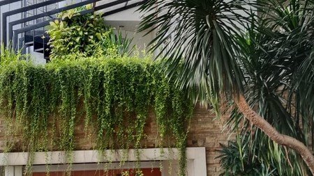 Rumah Semi Furnished Bebas Banjir, 2 Setengah Lantai Dalam Cluster di Jl Aria Putra, Serua Indah, Ciputat