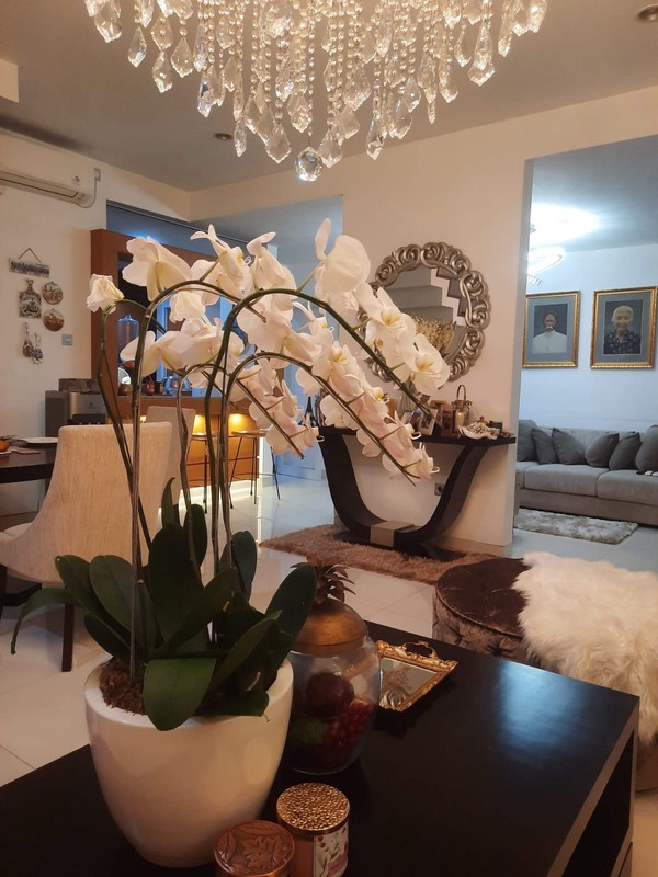 Rumah Semi Furnished Bebas Banjir, 2 Setengah Lantai Dalam Cluster di Jl Aria Putra, Serua Indah, Ciputat