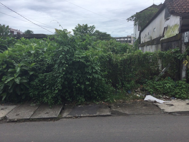 Land Freehold In Heart Cendrawasih Petitenget Bali