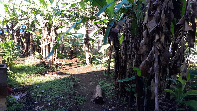 Prime Roadside Land Talaga Majalengka - Lahan Jalan Raya Utama, Siap Dibangun, Harga All-In Nego