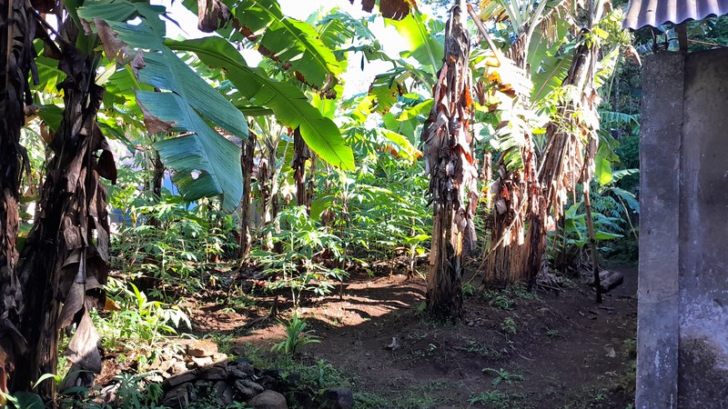 Prime Roadside Land Talaga Majalengka - Lahan Jalan Raya Utama, Siap Dibangun, Harga All-In Nego