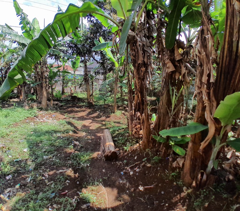 Prime Roadside Land Talaga Majalengka - Lahan Jalan Raya Utama, Siap Dibangun, Harga All-In Nego