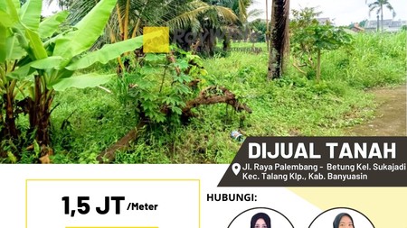 DIJUAL TANAH DAERAH BANYUASIN