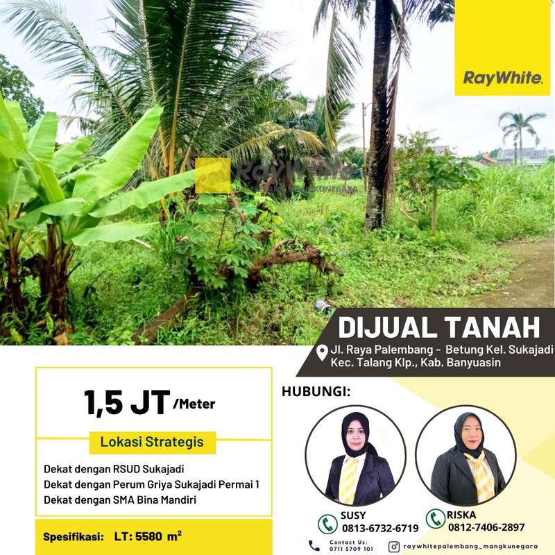DIJUAL TANAH DAERAH BANYUASIN