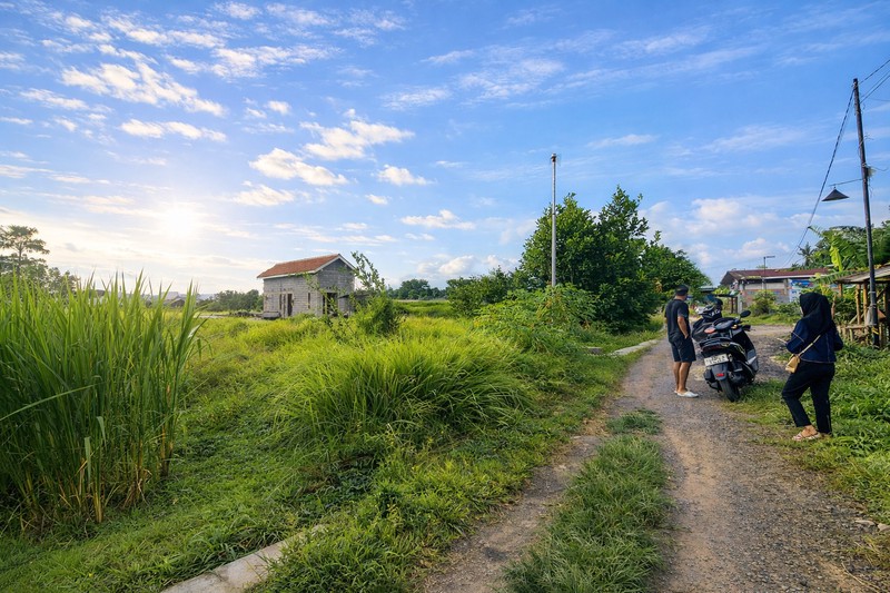 Investasi Menguntungkan Tanah Sawah Luas 786 Meter Persegi di Kragilan Sinduadi Lokasi Strategis Dekat Ring Road & Kota