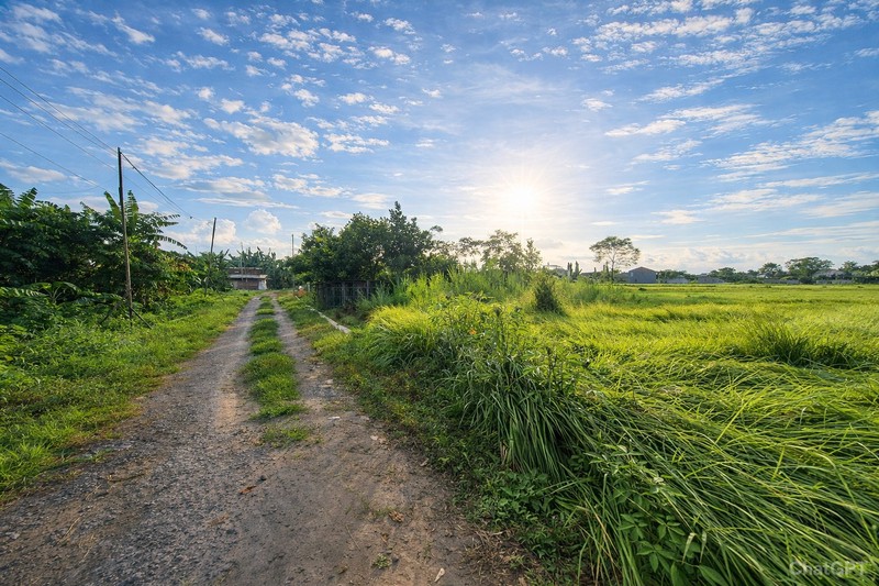 Investasi Menguntungkan Tanah Sawah Luas 786 Meter Persegi di Kragilan Sinduadi Lokasi Strategis Dekat Ring Road & Kota