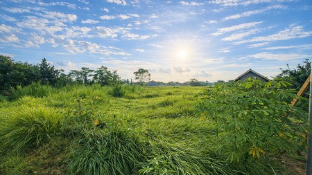 Investasi Menguntungkan Tanah Sawah Luas 786 Meter Persegi di Kragilan Sinduadi Lokasi Strategis Dekat Ring Road & Kota