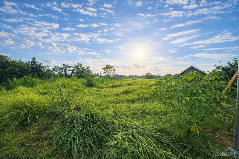 Investasi Menguntungkan Tanah Sawah Luas 786 Meter Persegi di Kragilan Sinduadi Lokasi Strategis Dekat Ring Road & Kota