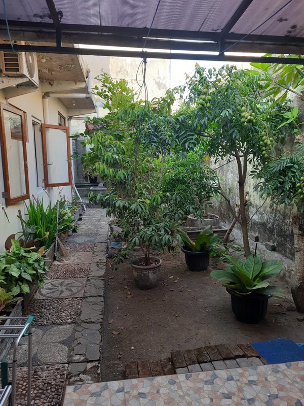 Peluang Bisnis Eksklusif Guesthouse Mewah 2 Lantai di Caturtunggal Lokasi Premium Selangkah ke UGM, Caturtunggal, Depok, Sleman