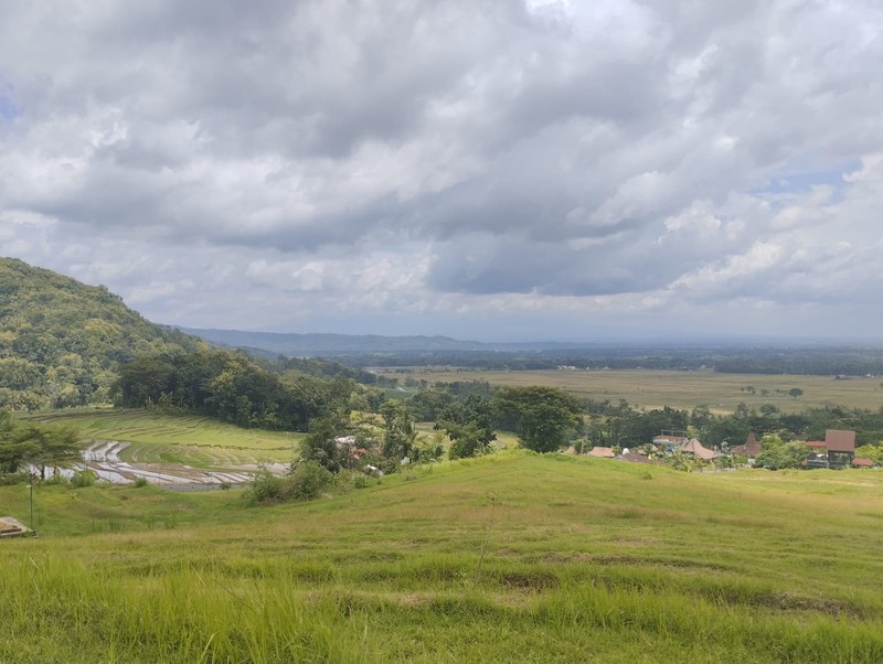 Tanah Premium Bernuansa Alam - Peluang Investasi di Pendoworejo, Girimulyo - Kulon Progo 