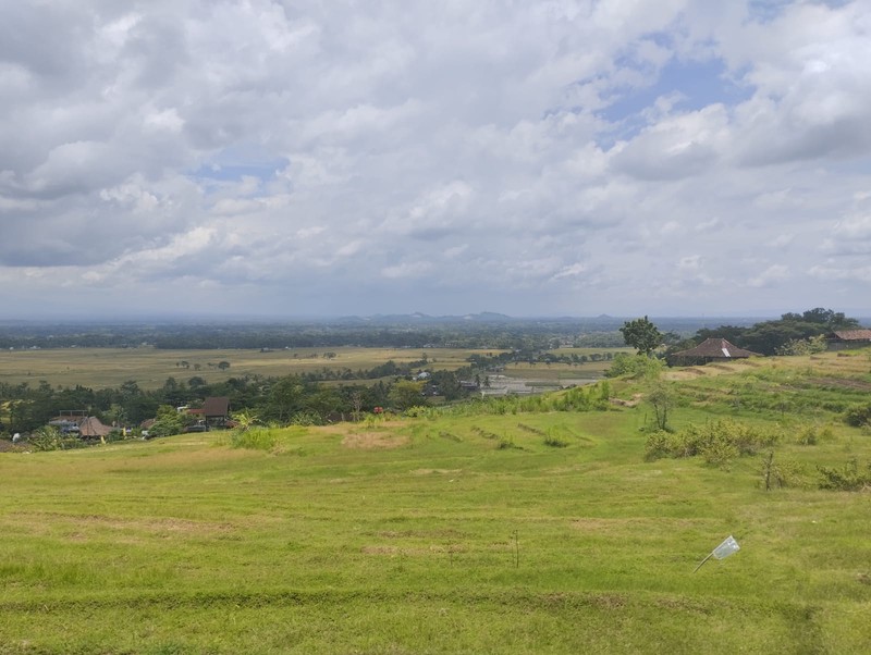 Tanah Premium Bernuansa Alam - Peluang Investasi di Pendoworejo, Girimulyo - Kulon Progo 