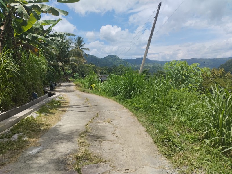 Tanah Premium Bernuansa Alam - Peluang Investasi di Pendoworejo, Girimulyo - Kulon Progo 