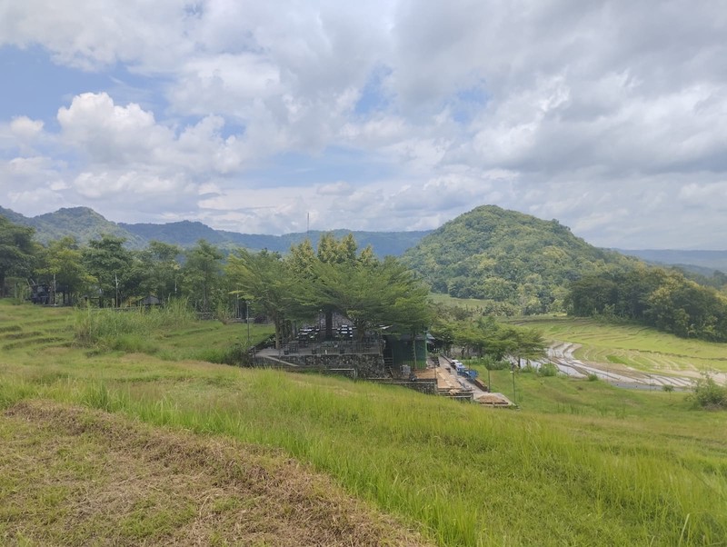 Tanah Premium Bernuansa Alam - Peluang Investasi di Pendoworejo, Girimulyo - Kulon Progo 