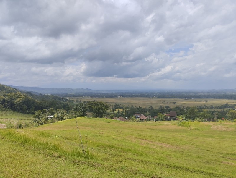 Tanah Premium Bernuansa Alam - Peluang Investasi di Pendoworejo, Girimulyo - Kulon Progo 