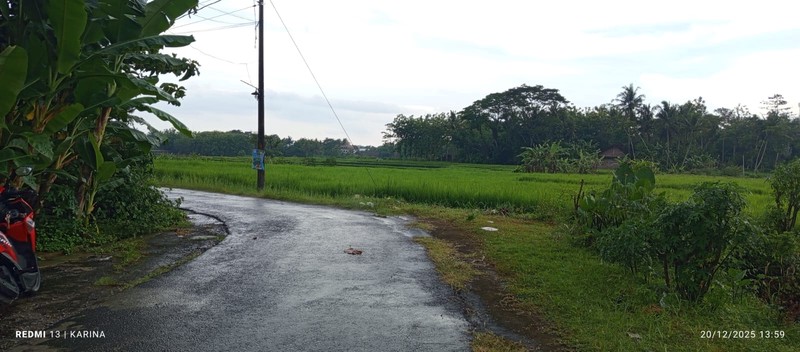 Tanah Luas 556 Meter Persegi Lokasi Nanggulan - Kulon Progo 