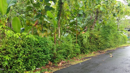 Tanah Luas 556 Meter Persegi Lokasi Nanggulan - Kulon Progo 
