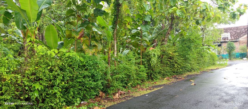 Tanah Luas 556 Meter Persegi Lokasi Nanggulan - Kulon Progo 