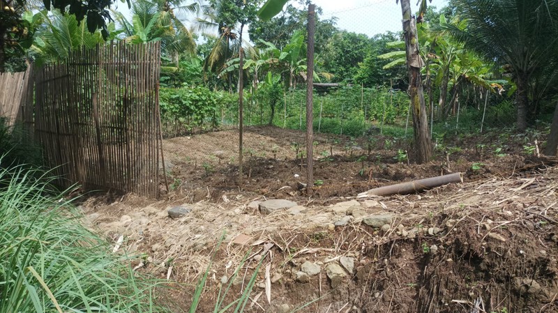 Dijual Lahan Produktif Lokasi Strategis di Kawasan Girimulyo - Kulon Progo 