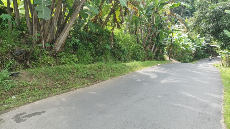 Dijual Lahan Produktif Lokasi Strategis di Kawasan Girimulyo - Kulon Progo 