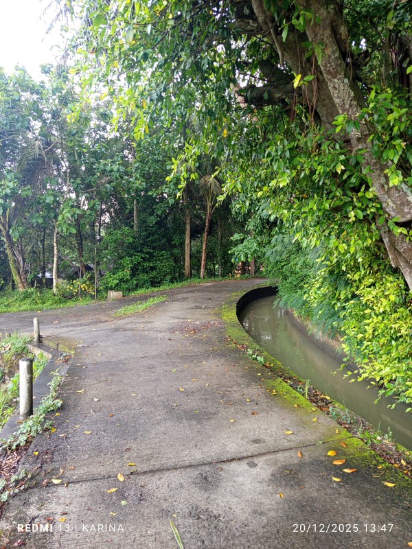 Lahan Strategis Luas 548 Meter Persegi Cocok Hunian & Investasi Lokasi - Nanggulan Kulon Progo 