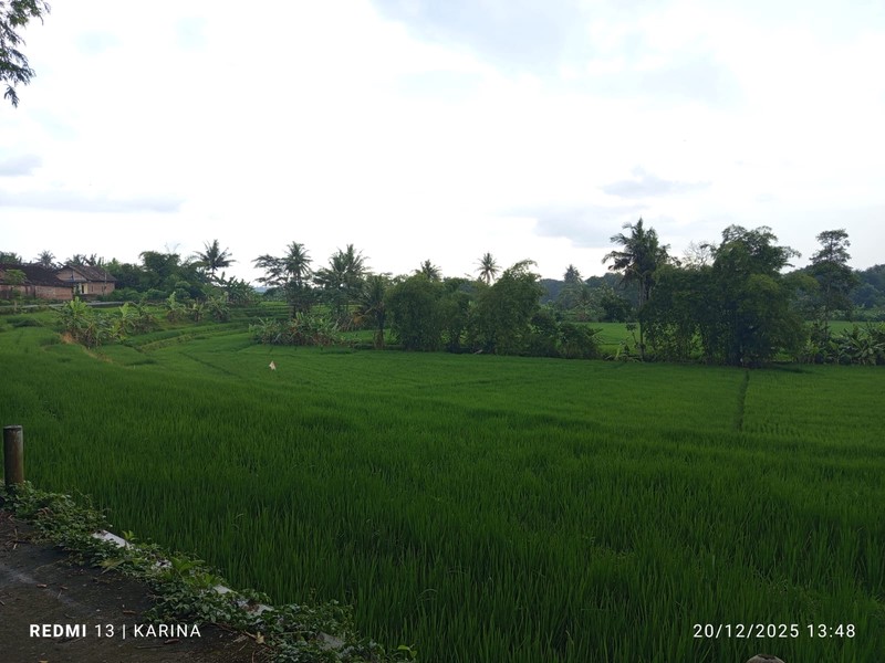 Lahan Strategis Luas 548 Meter Persegi Cocok Hunian & Investasi Lokasi - Nanggulan Kulon Progo 