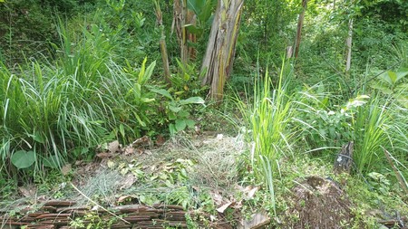 Tanah Luas 1370 Meter Persegi Lokasi Pendoworejo - Kulon Progo 