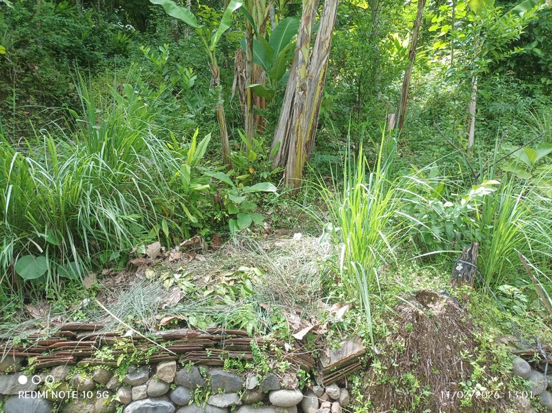 Tanah Luas 1370 Meter Persegi Lokasi Pendoworejo - Kulon Progo 