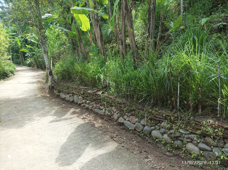Tanah Luas 1370 Meter Persegi Lokasi Pendoworejo - Kulon Progo 
